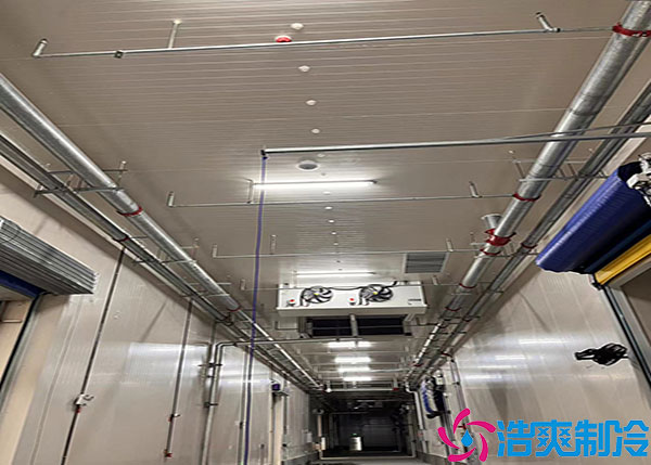 500平方不同类型榴莲网站官网建造多少钱？.jpg