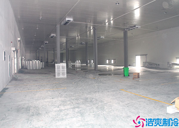 湖南食品速冻榴莲网站官网建设标准.jpg