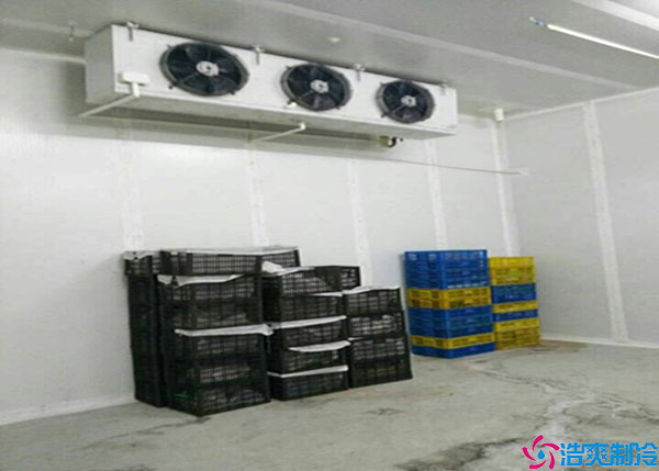 宁夏气调榴莲网站官网如何建造？.jpg