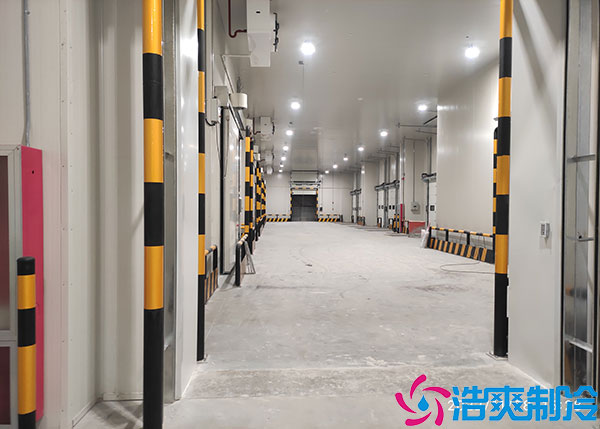 蔬菜农产品储存应该选择什么类型的榴莲网站官网？.jpg