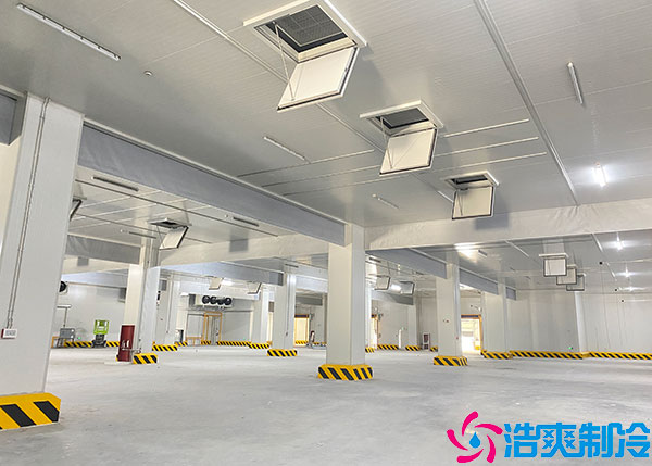 福建生鲜物流榴莲网站官网定制详情分析.jpg