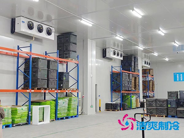 大型榴莲网站官网造价多少钱