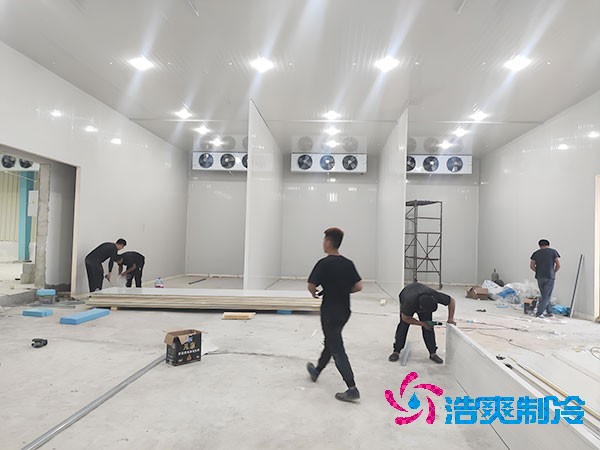 5000平米生鲜冷链果蔬保鲜榴莲网站官网建造安装造价多少钱？-榴莲视频在线观看下载制冷