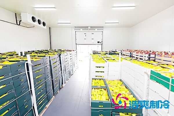水果保鲜榴莲网站官网每平方米的建造费用是多少钱？-榴莲视频在线观看下载制冷