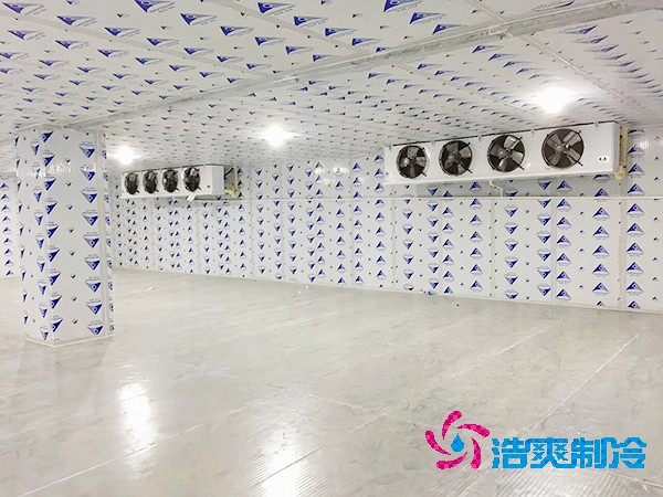 建造一个餐饮双温榴莲网站官网造价成本需要多少资金？