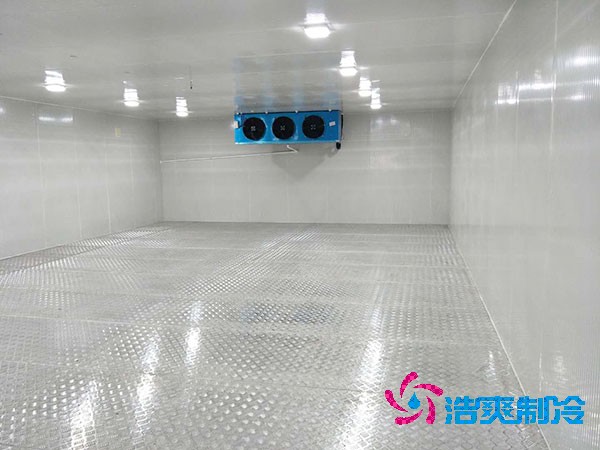 建造一个餐饮双温榴莲网站官网造价成本需要多少资金？