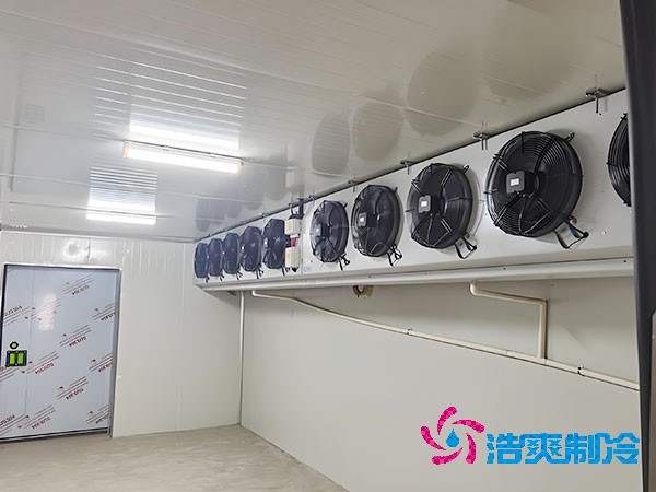 建造500平方米梨子保鲜榴莲网站官网的费用是多少？-榴莲视频在线观看下载制冷