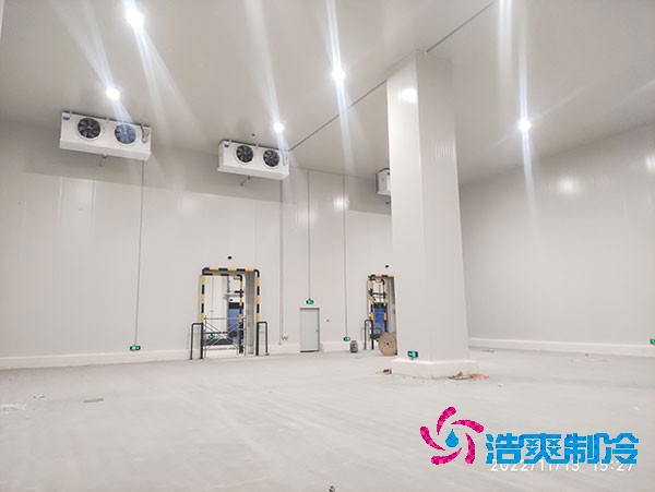 1000吨榴莲网站官网造价费用