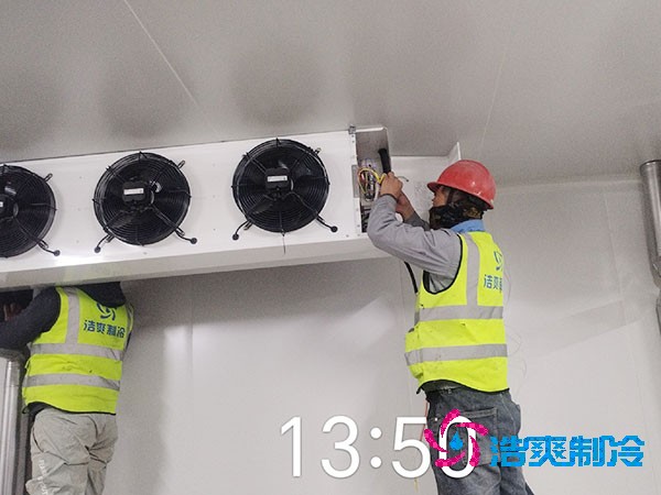 1000吨榴莲网站官网造价费用