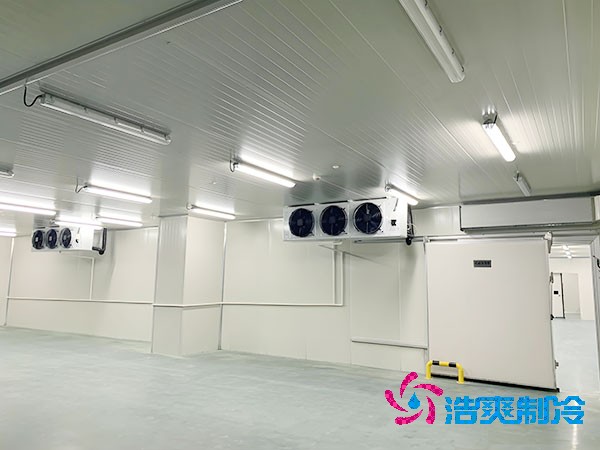 小型花卉鲜花榴莲网站官网的造价大概是多少钱？