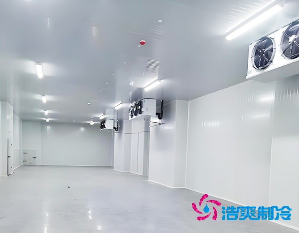 小型花卉鲜花榴莲网站官网的造价大概是多少钱？