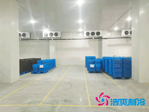 加工厂榴莲网站官网安装造价成本大概多少钱？