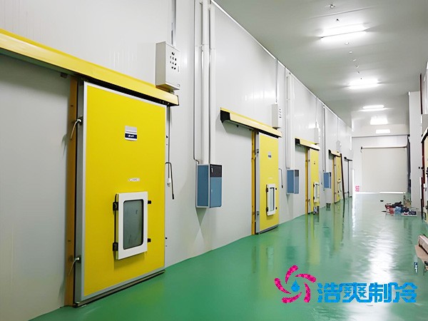 气调榴莲网站官网安装造价费用