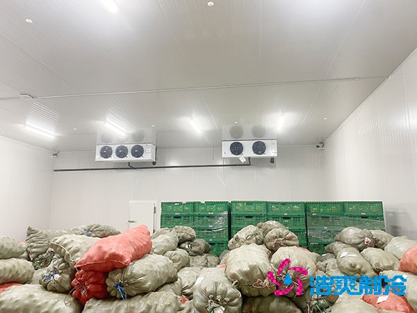  建造一个保鲜榴莲网站官网造价预算大概是多少钱？