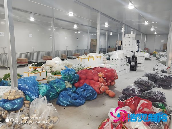  建造一个保鲜榴莲网站官网造价预算大概是多少钱？