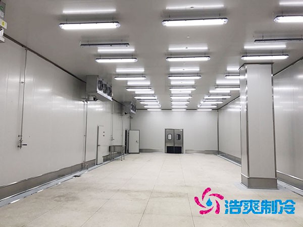 5000平米鸡肉榴莲网站官网造价大概多少钱