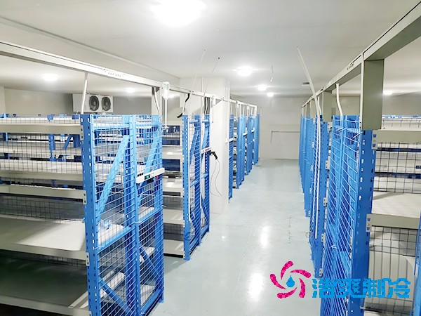 酒店榴莲网站官网安装造价