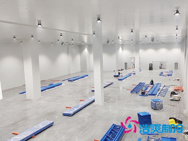 自建榴莲网站官网的成本与维护费用概述