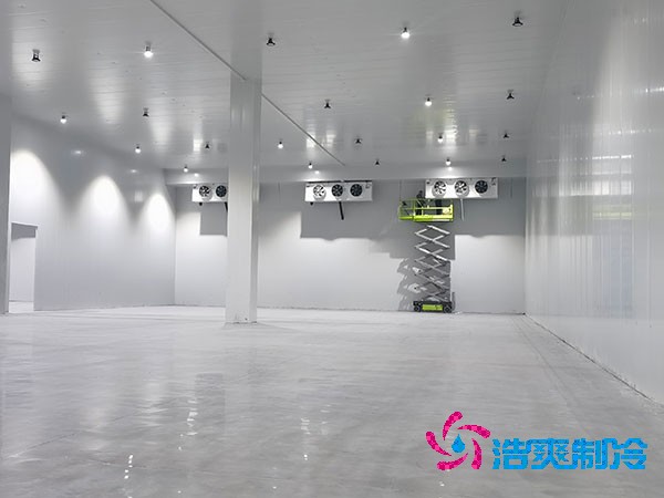 自建榴莲网站官网的成本与维护费用概述