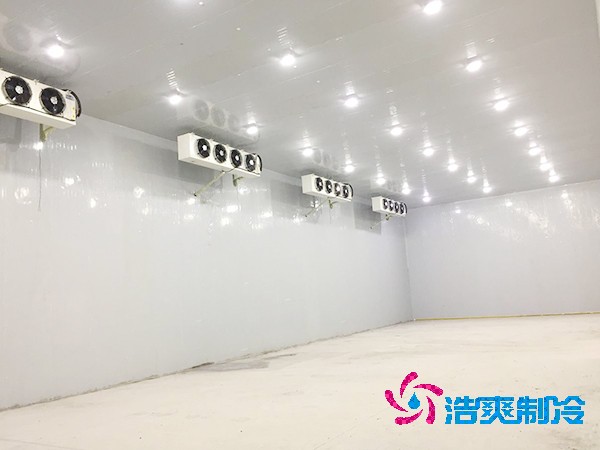 100吨蔬菜保鲜榴莲网站官网造价
