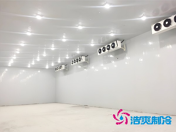 500平米蔬菜保鲜榴莲网站官网造价