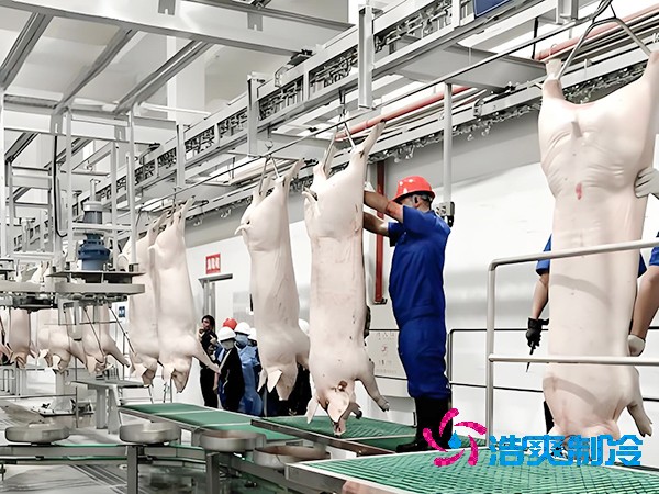 屠宰场榴莲网站官网工程造价预算