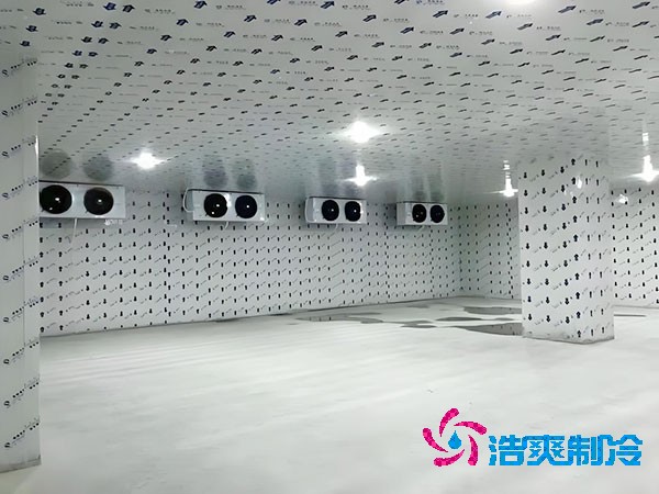 苹果保鲜榴莲网站官网