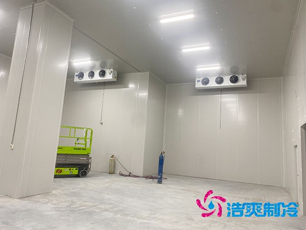 雪糕低温榴莲网站官网建造价成本