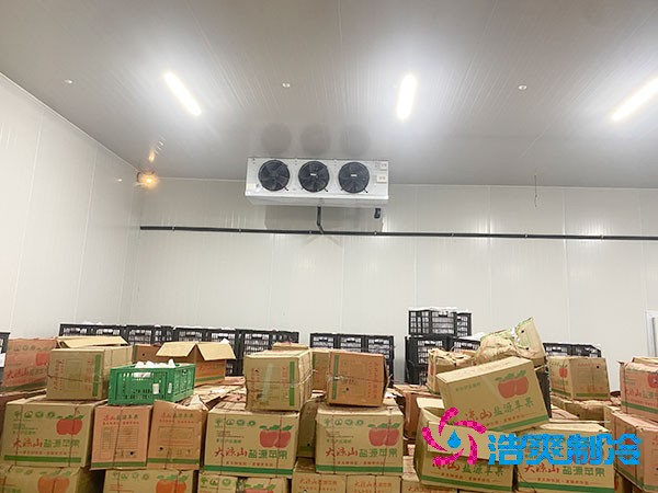 大型超市水果榴莲网站官网建造费用大概多少钱？-榴莲视频在线观看下载制冷