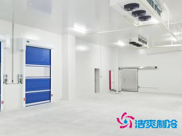 蔬菜水果榴莲网站官网建设