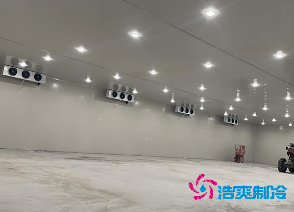 -18℃冻肉能放半年？揭秘食品榴莲网站官网造价秘密！-榴莲视频在线观看下载制冷
