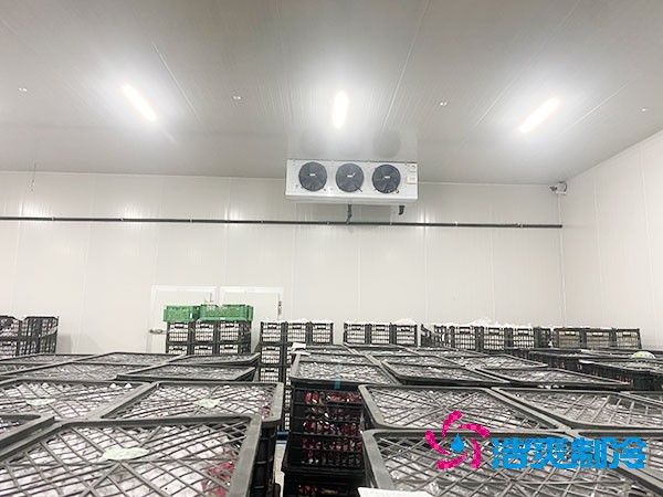 想知道保鲜榴莲网站官网设计安装要花多少钱？-榴莲视频在线观看下载制冷