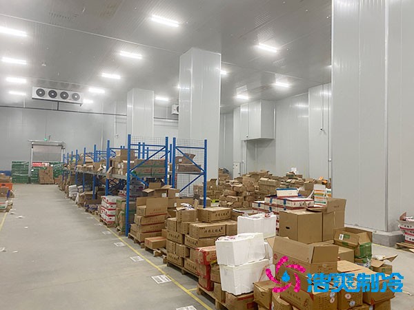 夏季蔬菜保鲜难？500吨榴莲网站官网建造价格揭秘！