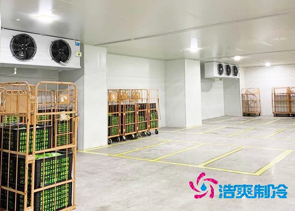 玉米榴莲网站官网造价