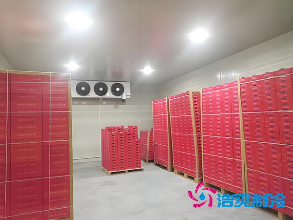 槟榔保鲜榴莲网站官网安装造价费用多少钱？-榴莲视频在线观看下载制冷