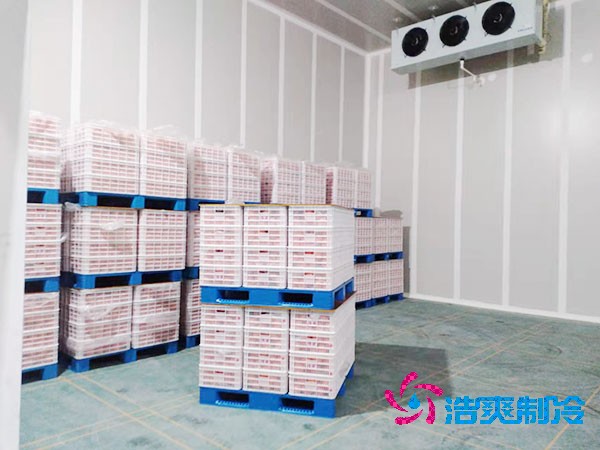 火龙果保鲜榴莲网站官网造价