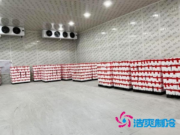 保鲜榴莲网站官网造价及冷冻榴莲网站官网造价估算表对比