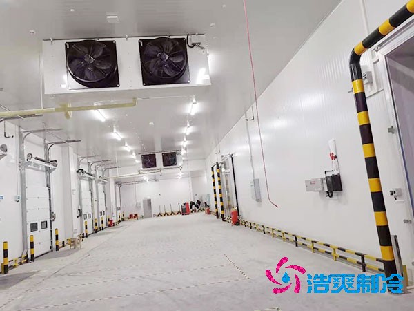 大型榴莲网站官网建造价格