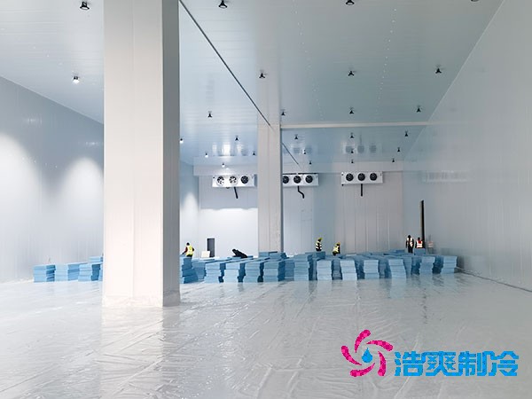 榴莲网站官网造价成本