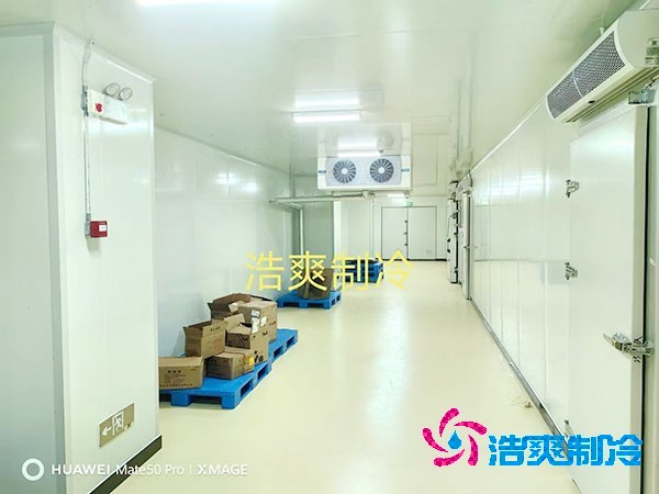 荔枝榴莲网站官网安装价格多少钱一平方米？荔枝榴莲网站官网可以放多久-榴莲视频在线观看下载制冷