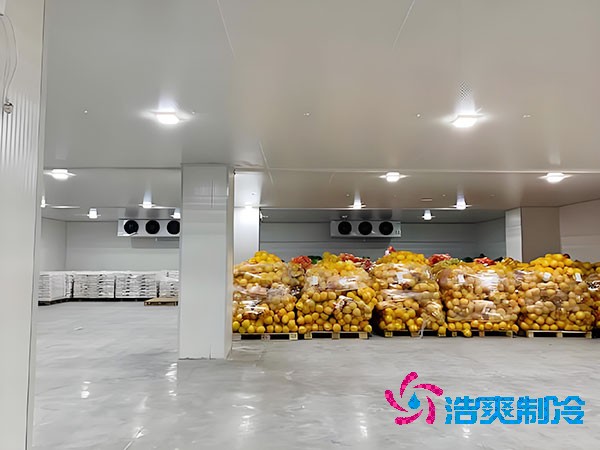 建一个蔬菜榴莲网站官网造价需要多少钱？-榴莲视频在线观看下载制冷