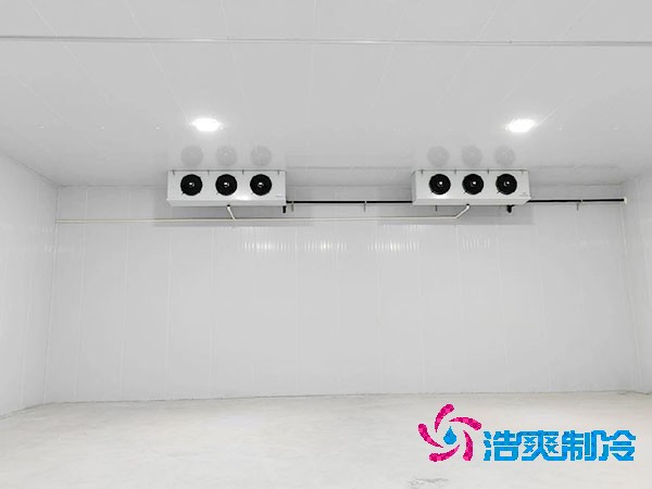 榴莲网站官网建设