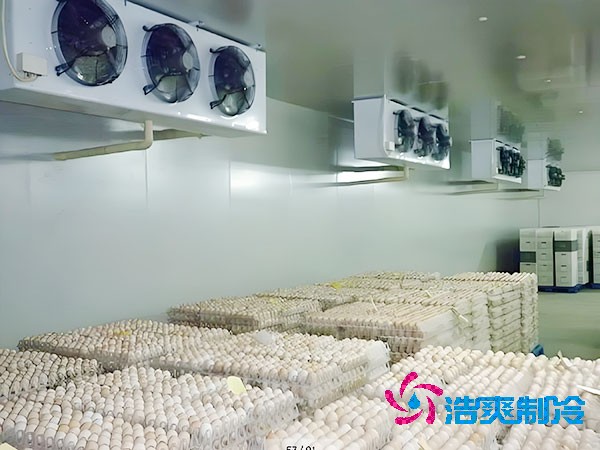 食品榴莲网站官网温度是多少度合适