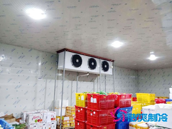 食品榴莲网站官网