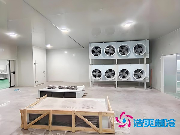 食品厂速冻榴莲网站官网