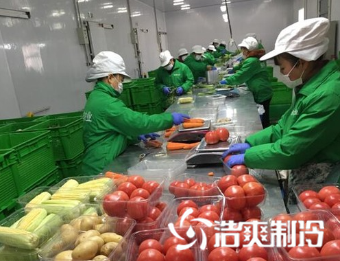 生鲜榴莲网站官网建造_榴莲视频在线观看下载制冷