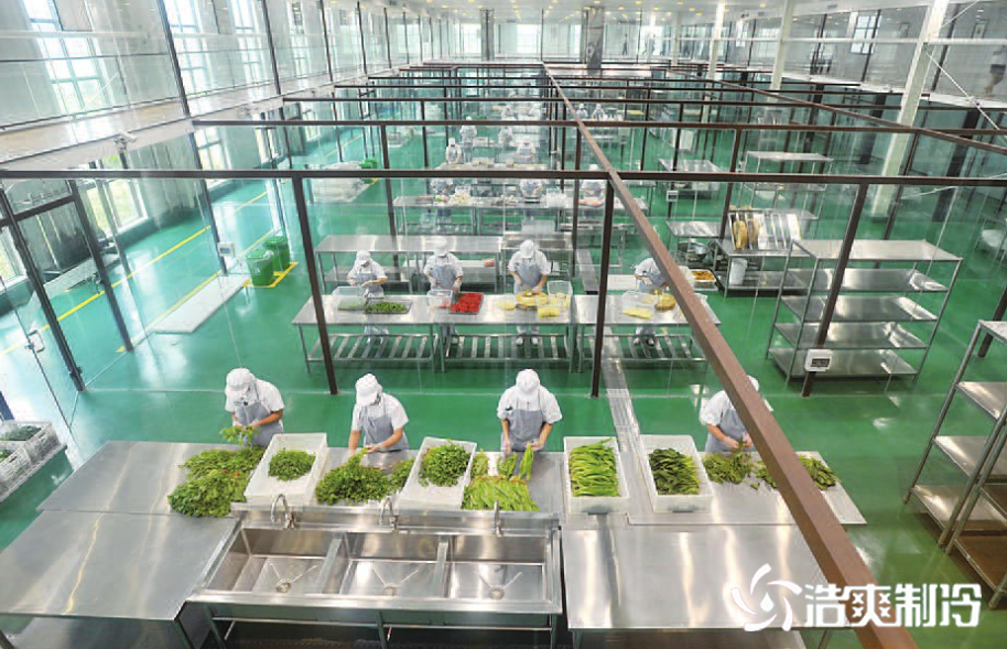 分拣榴莲网站官网建造_榴莲视频在线观看下载制冷