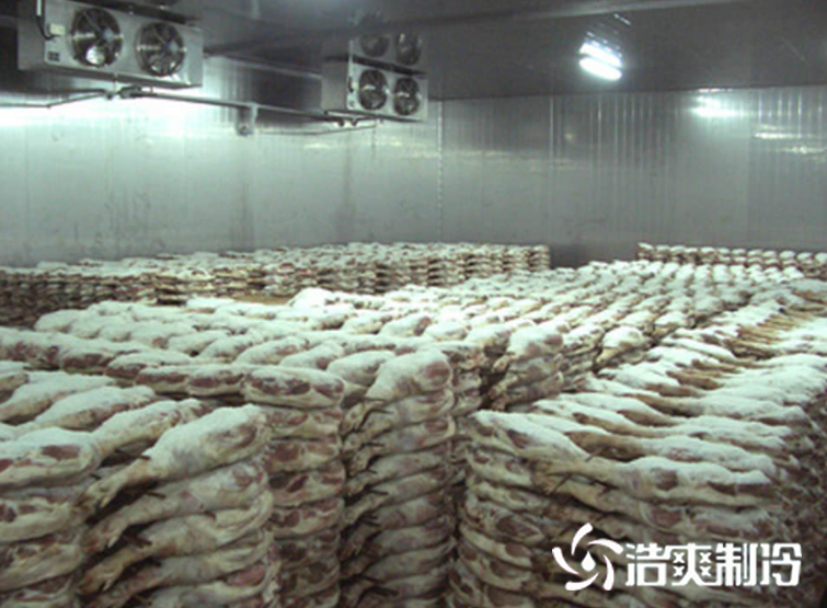 设计安装速冻榴莲网站官网造价