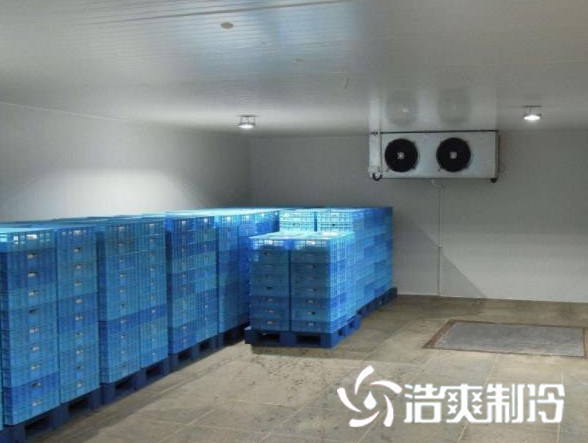 餐饮榴莲网站官网建造_榴莲视频在线观看下载制冷