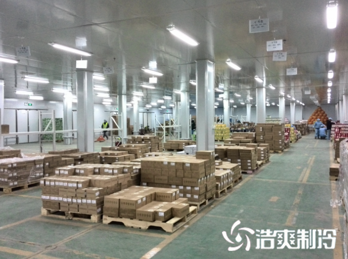 保鲜榴莲网站官网设计安装
